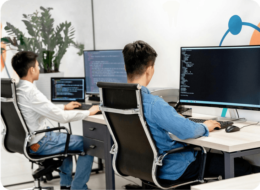 Staff Augmentation